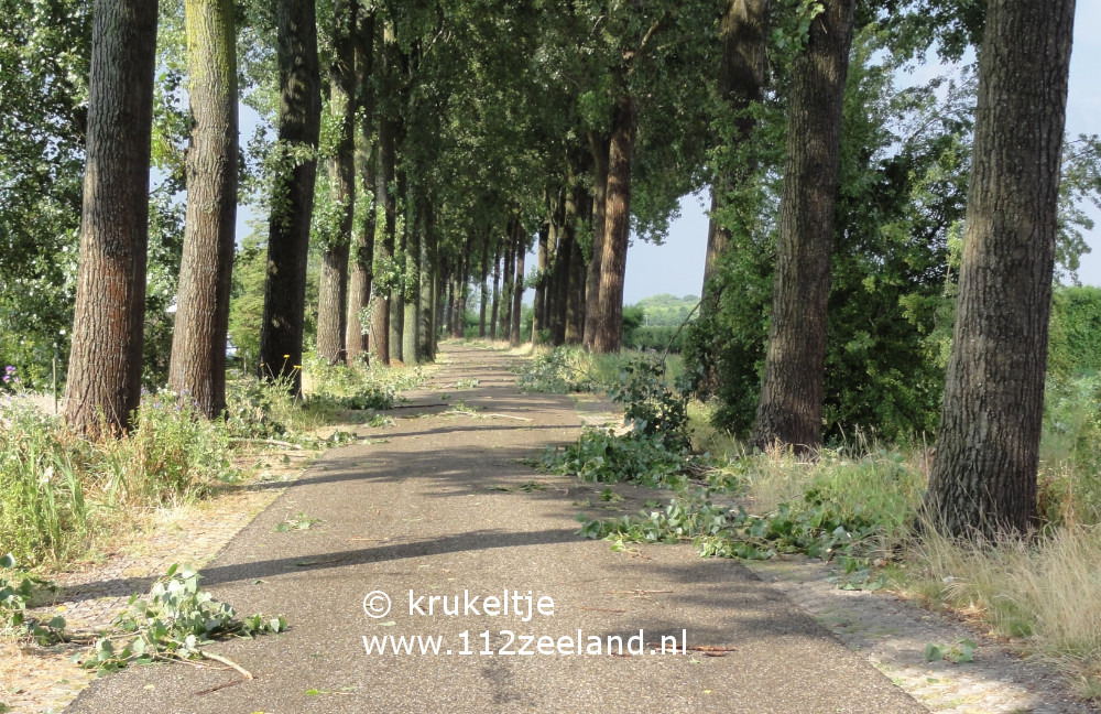 Oude Zanddijk Heinkenszand  270720187.jpg